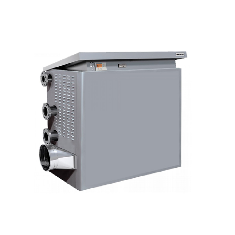 Газовый котел SINTESI 100